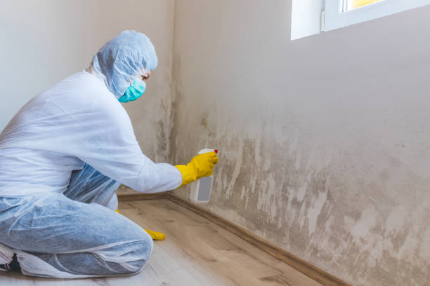 Licensed Bathroom Mold Removal service in Harrisburg, IL - WQB Mold Removal