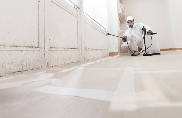 24/7 Emergency Bathroom Mold Removal experts in Harrisburg, IL