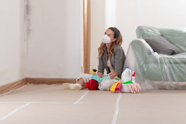 Reliable Bathroom Mold Removal contractor in Harrisburg, IL by WQB Mold Removal